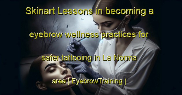 Skinart Lessons in becoming a eyebrow wellness practices for safer tattooing in La Norma area | EyebrowTraining | EyebrowClasses | SkinartTraining-Mexico